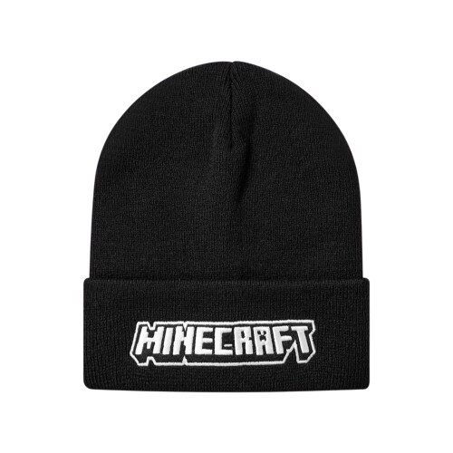 Minecraft Minecraft Boys Logo Polyester Beanie