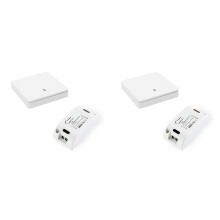 2X Wireless Light RF 433MHz Lighting Control Intelligent AC 90-250V 10A Module( 1 W and 1 C)