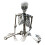 Life-Size Posable Halloween Skeleton Prop with Anatomy 2