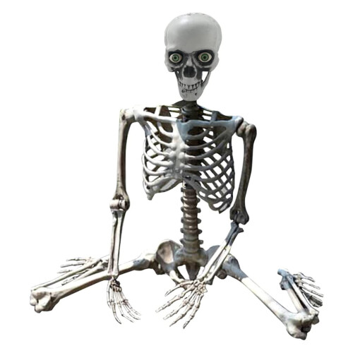 Life-Size Posable Halloween Skeleton Prop with Anatomy 1