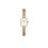 Daniel Wellington Daniel Wellington Unisexzegarek DW00100730 1