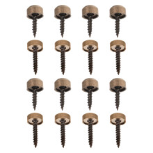 16Pcs Gold Brass Self-Tapping Decorative Screws with Caps for Home Use