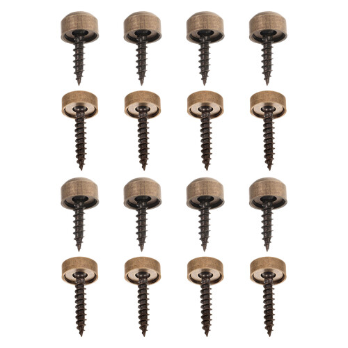 16Pcs Gold Brass Self-Tapping Decorative Screws with Caps for Home Use
