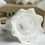 Night Light Pendant LED for Kids Room1Pack 4