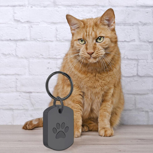 Bijoux de crémation pour animaux de compagnie, bijoux-or rose 2
