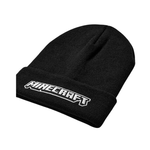 Minecraft Minecraft Boys Logo Polyester Beanie 2