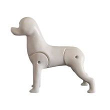 Durable Plastic Frame Poodle Grooming-Bichon Frize Skeleto