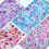 Animal Embossed Sticker Waterproof Decorative Sticker for Kids 5