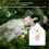 Boîte à oiseaux chantants, boîte à son naturelle avec-Blanc 5
