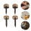 16Pcs Gold Brass Self-Tapping Decorative Screws with Caps for Home Use 5