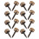 16Pcs Gold Brass Self-Tapping Decorative Screws with Caps for Home Use 6