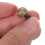 16Pcs Gold Brass Self-Tapping Decorative Screws with Caps for Home Use 7