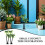 45Pièces Modèles Mini Arbres En Pour Micro Paysage Décoratif 4