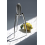 Alessi 2025 citruspers JIE 3