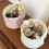 Stilvolle runde Make-up-Organizer mit hübschen Blumenmustern-A 5
