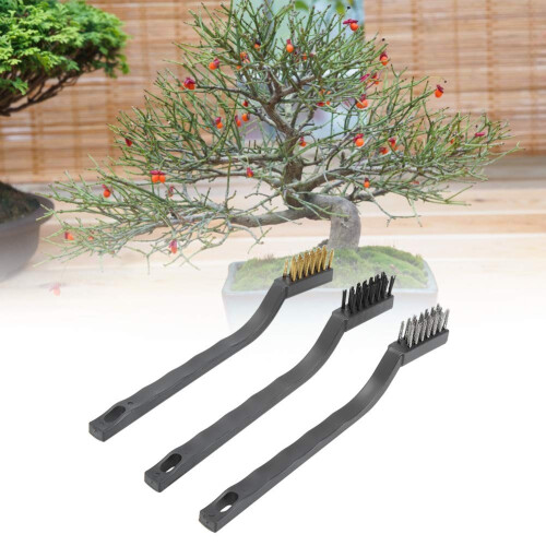 Bonsai Wire Brush Set 3pcs Small Wire Brushes with Ergonomic Plastic Handle for Precise Trunk Cleaning 1