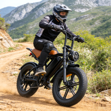 GTEBIKE 20" Electric Bike 1000W 48V 15.6Ah Samsung Battery Mountain E-bike 7-Speed 28mph