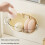 Without Drill Hanging Toiletry Organizers Clear Top Keep-White 6