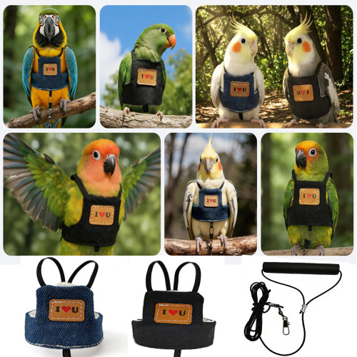 Parrots Flight Suit Harness Vest With Strong Leash-black L 2