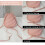 Fashion Backpack Multi-Function Small Backpack Women Pu Leather Shoulder Handbags Female Backpack School Bag Pack 6
