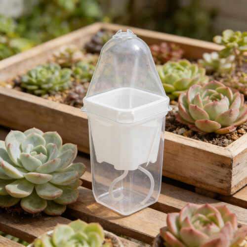 6Pcs Clear Automatic Watering Planter Pots for Indoor Seed Starter 2