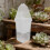 6Pcs Clear Automatic Watering Planter Pots for Indoor Seed Starter 8