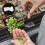 6Pcs Clear Automatic Watering Planter Pots for Indoor Seed Starter 11