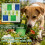 Dog Smell Training Set, Brainteasers, Hide and Seek-Blue 2 6
