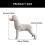 Mannequin éducatif de toilettage de-Bichon Frise blanc b 4