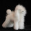 Mannequin éducatif de toilettage de-Bichon Frise blanc b 5