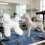 Mannequin éducatif de toilettage de-Bichon Frise blanc b 6