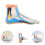 Realistic Foot Anatomy Model for Classroom and Physiotherapy Study 6