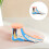 Realistic Foot Anatomy Model for Classroom and Physiotherapy Study 11