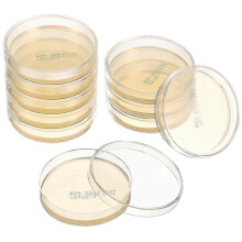 Mikrobiologické agarové platne pre laboratórne práce, vopred naliate do sterilných misiek