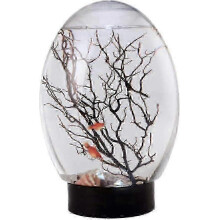 Mini Fish Tank Ecosphere Closed Aquatic Ecosystem Desktop Aquarium with LED Revolving Base Aquariums-Good
