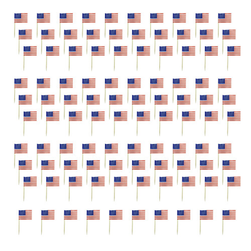 100Pcs Multicolor International Flag Toothpicks Cupcake-America