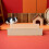 Light Yellow Hamster Cage Decorative Slide Small Pet Climbing Toy 8