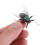 3St Groene Vlieg Nep Model Educatief Kinder Grappen Props 7