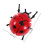 Giochi Coccinella Rossa Design Realistico Educativo 2