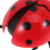 Giochi Coccinella Rossa Design Realistico Educativo 5