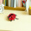 Giochi Coccinella Rossa Design Realistico Educativo 8