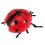 Giochi Coccinella Rossa Design Realistico Educativo 10