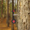 Iron Shooting Training Target Auto-Reset Spinning Outdoor Target 9