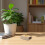 Khaki fork Wooden Sound Amplifier Box for Classroom and Spa 9