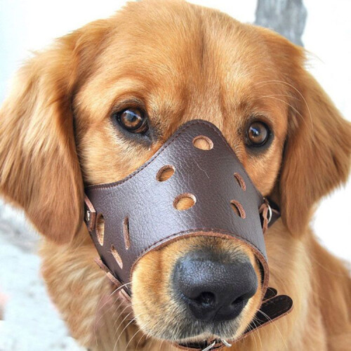 Dog Leather Anti Bark Muzzle for Large Medium Small Dogs M_Special Gift