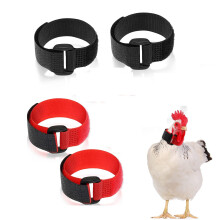 4 Pieces Rooster Collar, No Crow Chicken Collar Anti Hook Rooster Collar Neck Nylon Adjustable Prevent Screaming_Special Gift