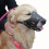Dog Leather Anti Bark Muzzle for Large Medium Small Dogs M_Special Gift 2