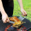 BBQ Accessories Meat Shredder Strong Pulled Pork Puller BBQ Fork Bear Claw Fruit Vegetable_Special Gift 2