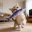 Interactief Flopping Fish Cats Toy 3 Motion-modellen Catmint 5