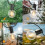 15 m Outdoor LED String Lights with 25 G40 Bulbs 3